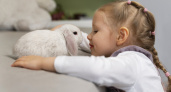 Домашние животные и их влияние на детей: каких питомцев нужно заводить