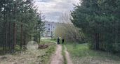 В Карелии на девочку напали сразу два клеща, и один оказался энцефалитным