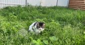 Не плачьте и не смотрите на солнце: народные приметы на 26 мая, которые лучше не игнорировать