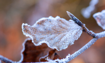 Как понять, что ребенок отморозил руки или щеки и что делать при этом?