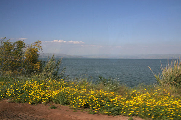 Тивериадское (Генисаретское) озеро