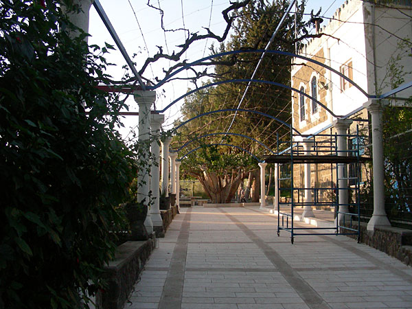 Сад монастыря Двенадцати Апостолов