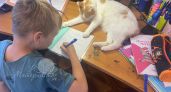 Суд в Прикамье заставил родителей отправить детей в школу