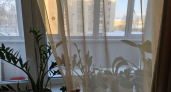 Старые шторы за час превращаются в потрясающие вещи для дома и дачи: подруги просят «рецепт» — 3 классные идеи