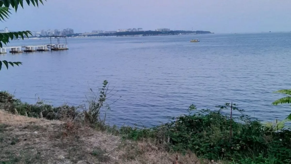 До моря 15 минут, родники и водопады - а жить не хотят. Почему отказываются от чудесного места под Краснодаром