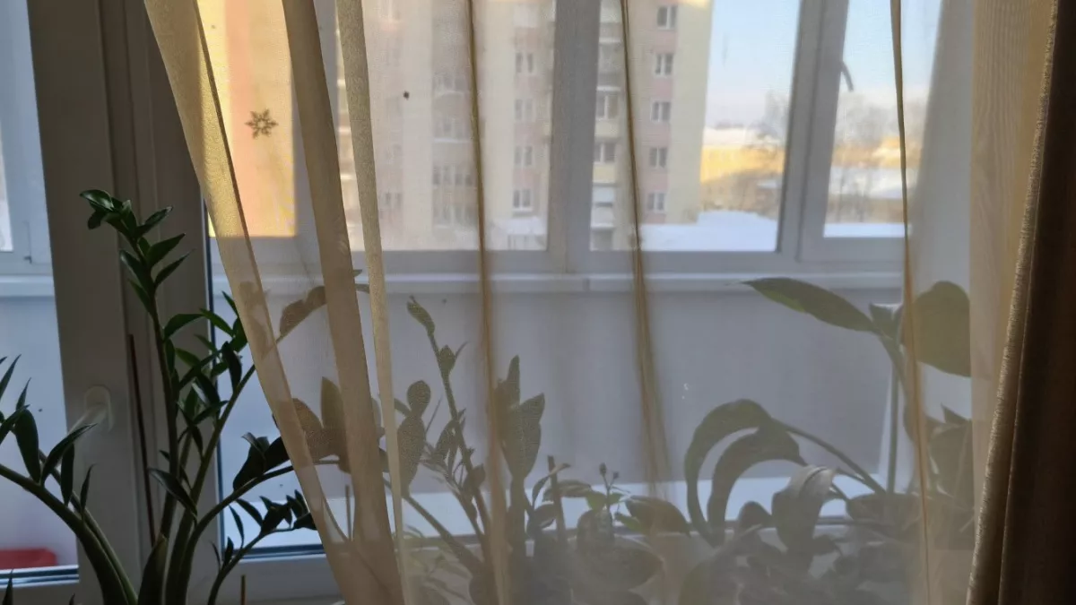 Старый тюль никогда не выбрасываю - он здорово выручает в хозяйстве: 10 лайфхаков для ушлой хозяйки