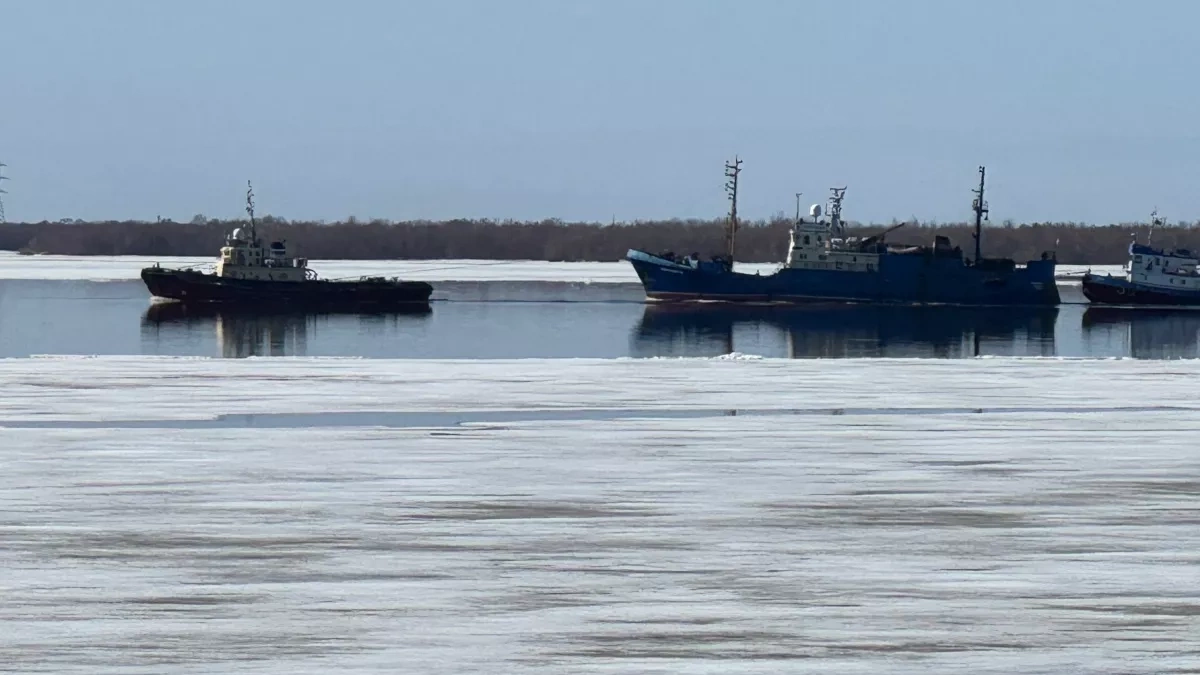 В "ЛизаАлерт" предупредили о главной опасности для детей весной