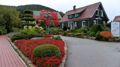 Немецкие деревни против российских: 5 открытий тревел-блогера, которые меняют взгляд на сельскую жизнь