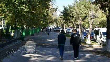 Каждый пятый выпускник в 2026 сдает ЕГЭ бесцельно